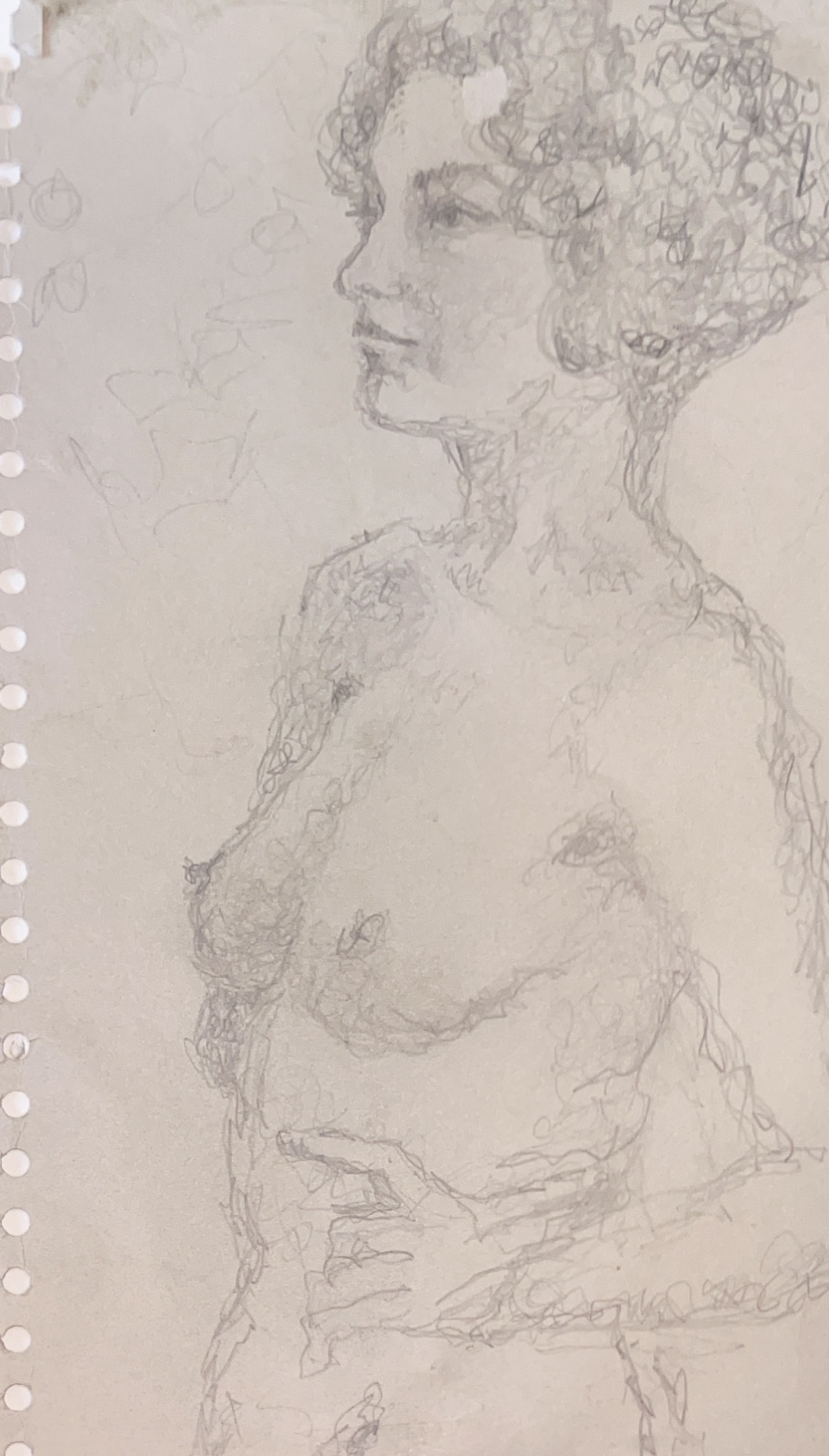 Profile figure study in graphite